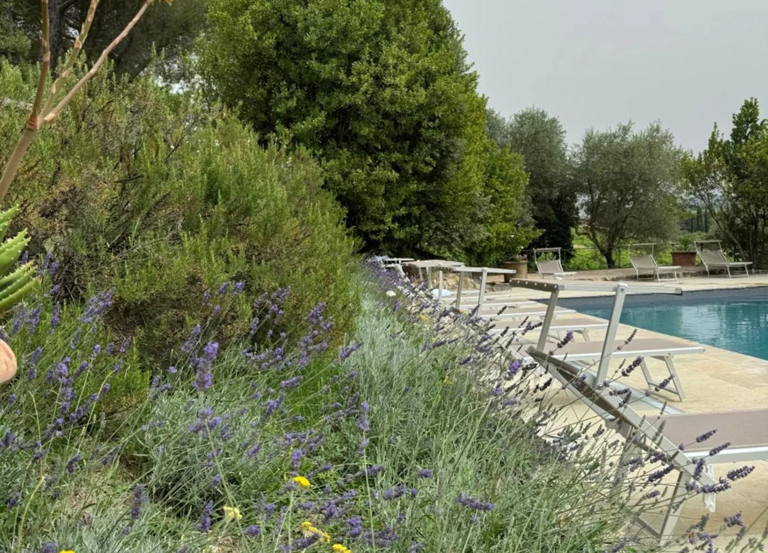 Corte Di Valle Greve in Chianti Séjour à la ferme