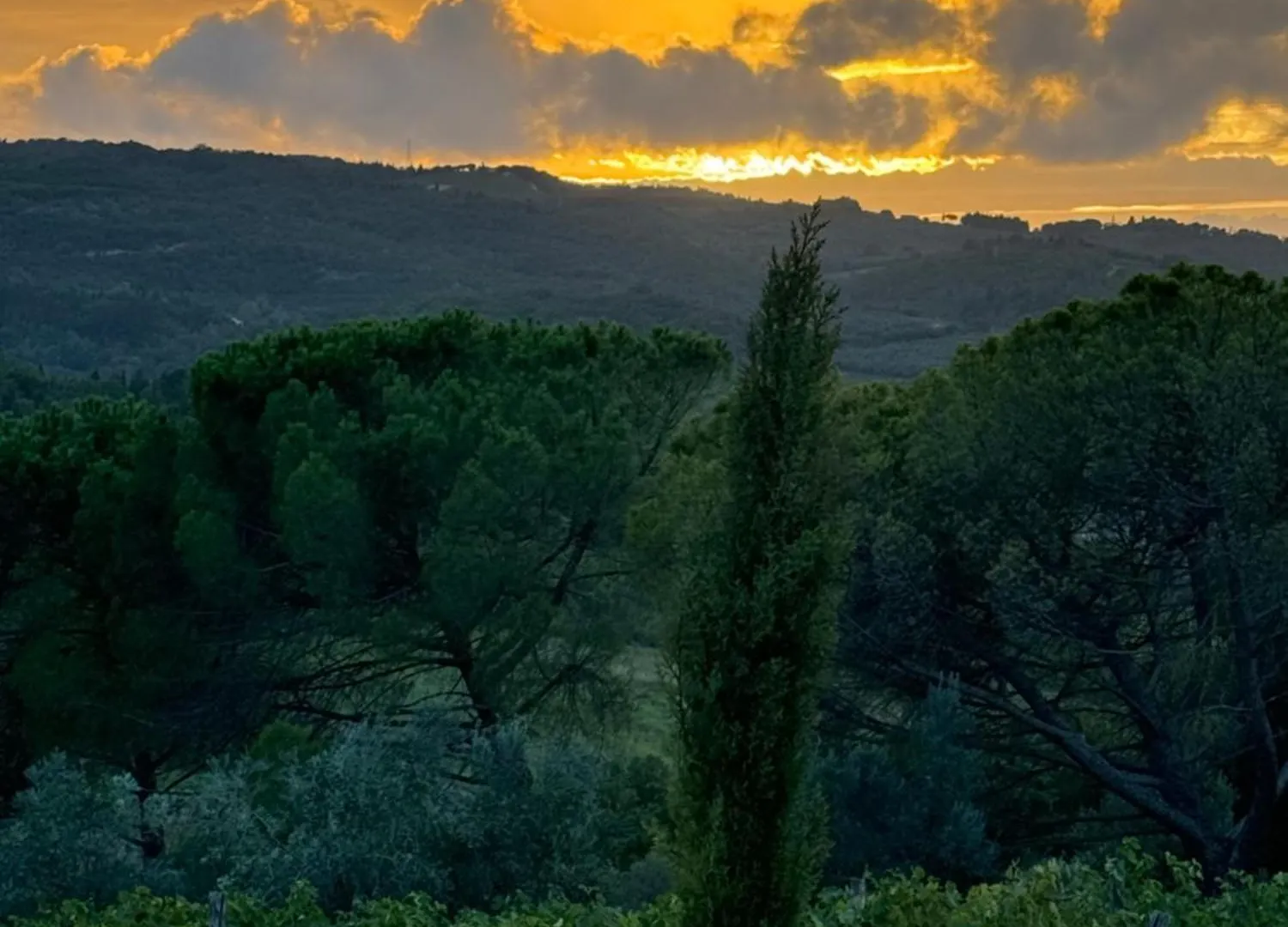 Farm stay Corte Di Valle