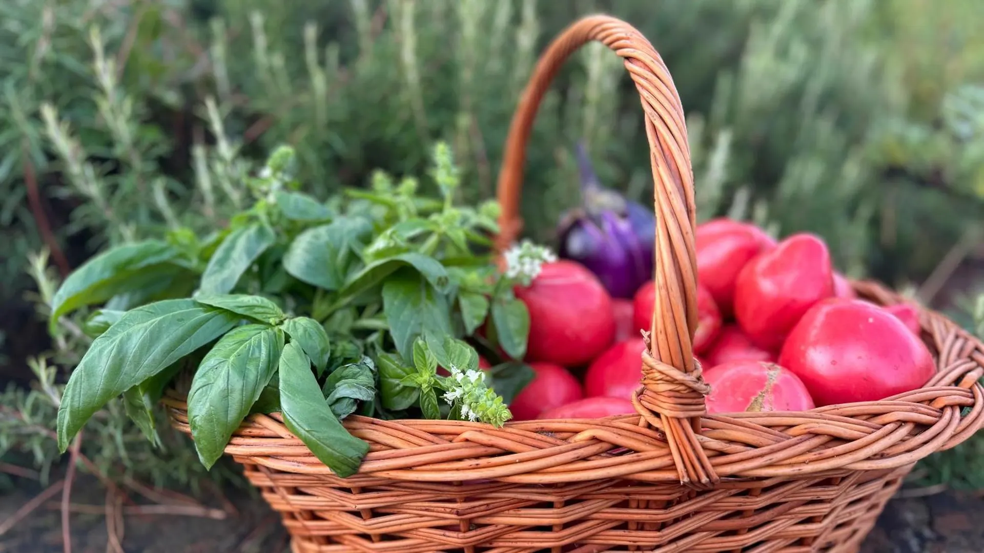 Corte Di Valle Farm stay Greve in Chianti