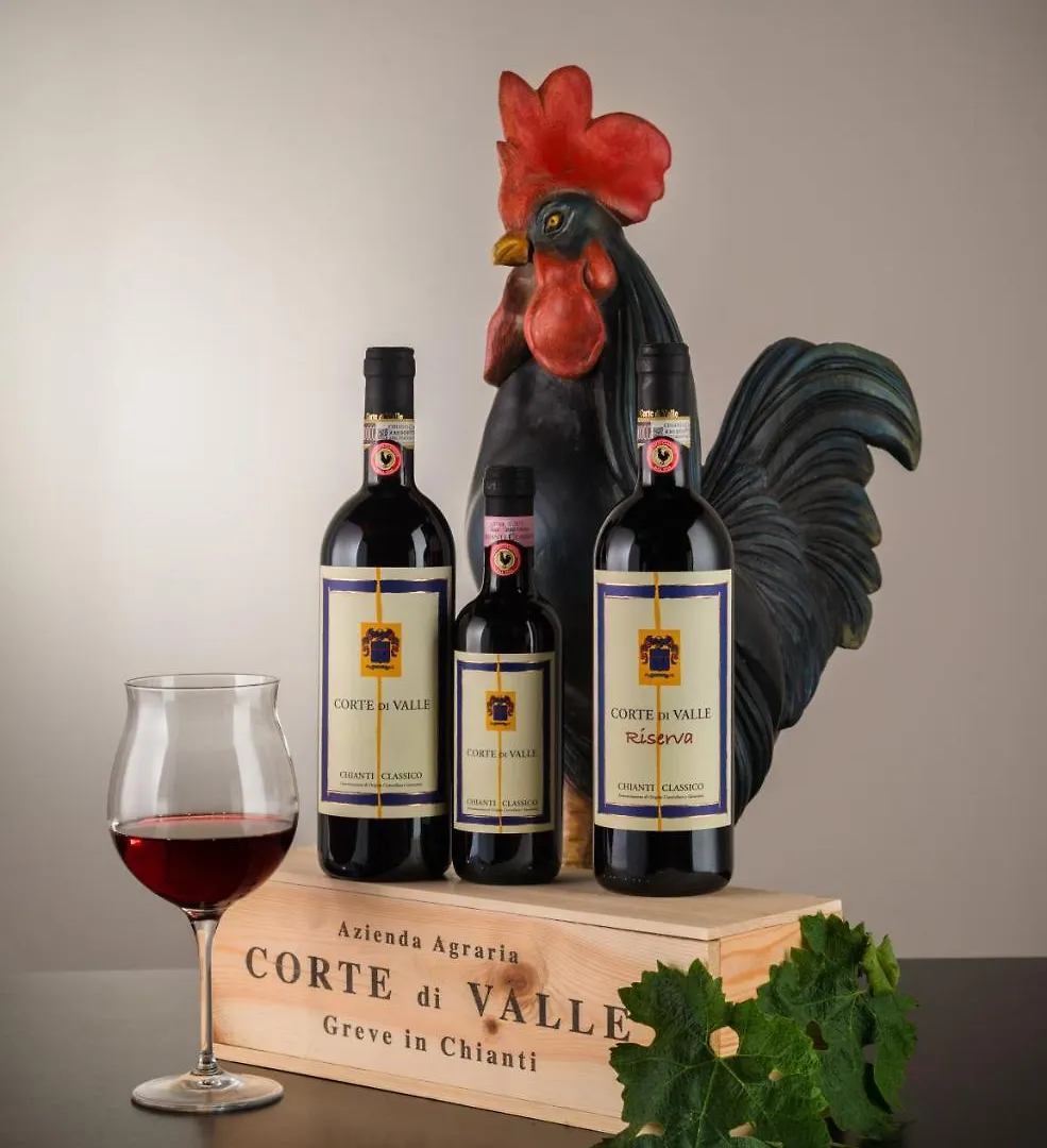 Alojamento de Turismo Rural Corte Di Valle Greve in Chianti