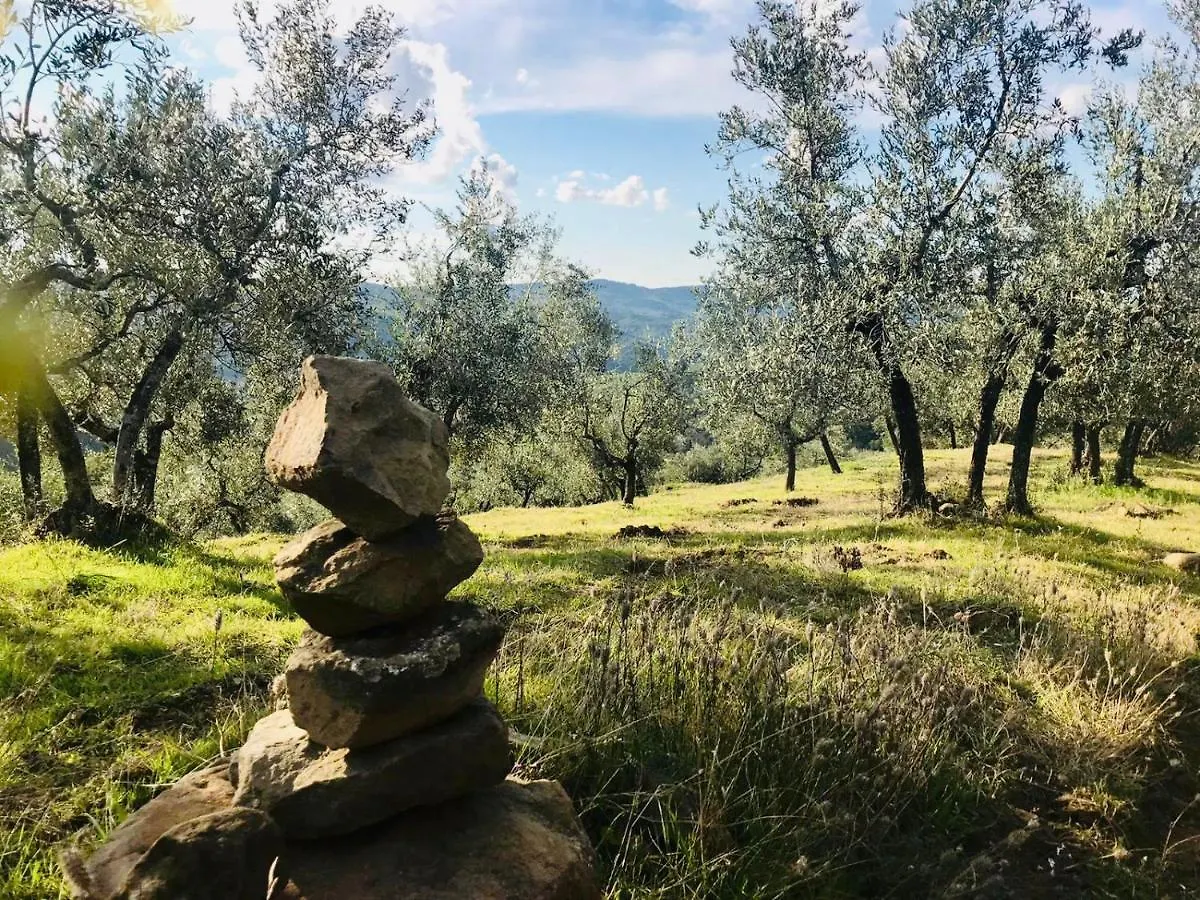 Corte Di Valle Greve in Chianti
